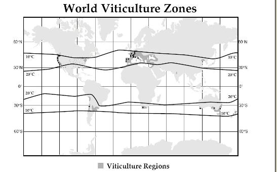 World Viticulture Regions